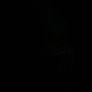 Meet your Posher, German